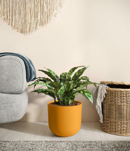 Load image into Gallery viewer, Sunset Orange