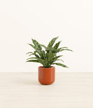 Load image into Gallery viewer, Glossy Red*****Profile