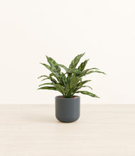 Load image into Gallery viewer, Iron Gray*****Profile