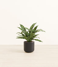 Load image into Gallery viewer, Stone Black*****Profile