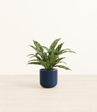 Load image into Gallery viewer, Twilight Blue*****Profile