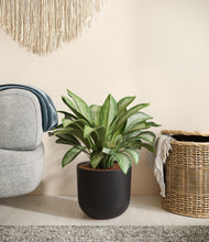 Load image into Gallery viewer, Stone Black