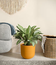 Load image into Gallery viewer, Sunset Orange