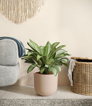 Load image into Gallery viewer, Sandy Pink