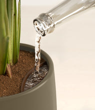 Load image into Gallery viewer, Olive stand:all