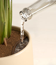 Load image into Gallery viewer, Almond Green stand:all