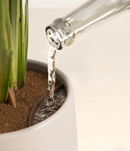 Load image into Gallery viewer, Eternal Gray stand:all