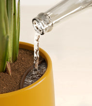 Load image into Gallery viewer, Mustard stand:all