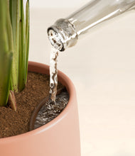 Load image into Gallery viewer, Calm Rose stand:all