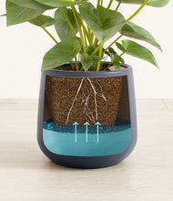 Load image into Gallery viewer, Deep Navy