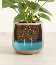 Load image into Gallery viewer, Eternal Gray