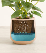 Load image into Gallery viewer, Gentle Pink