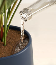 Load image into Gallery viewer, -