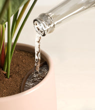 Load image into Gallery viewer, -