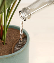 Load image into Gallery viewer, -