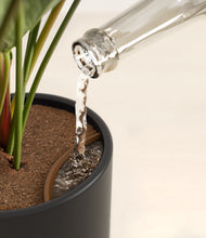 Load image into Gallery viewer, -