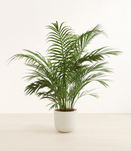 Load image into Gallery viewer, Natural Bamboo*****Profile