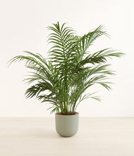 Load image into Gallery viewer, Sage Green*****Profile