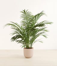 Load image into Gallery viewer, Sandy Pink*****Profile