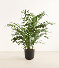 Load image into Gallery viewer, Stone Black*****Profile