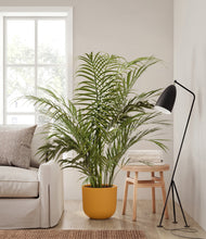 Load image into Gallery viewer, Sunset Orange