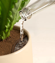 Load image into Gallery viewer, Almond Green stand:all