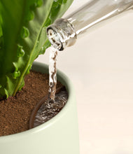 Load image into Gallery viewer, Turquoise stand:all