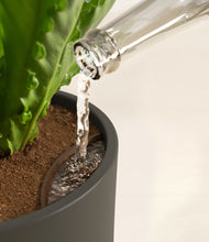 Load image into Gallery viewer, Dark Olive stand:all