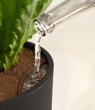 Load image into Gallery viewer, Black stand:all