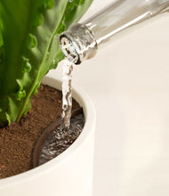 Load image into Gallery viewer, Cream stand:all