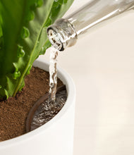 Load image into Gallery viewer, White stand:all