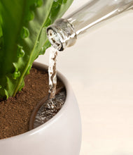 Load image into Gallery viewer, Winter Clouds stand:all