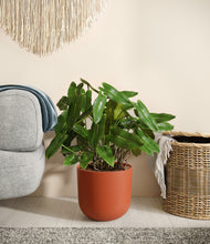 Load image into Gallery viewer, Earth Red