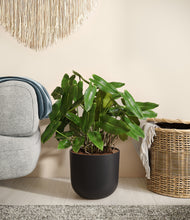 Load image into Gallery viewer, Stone Black