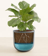 Load image into Gallery viewer, Iron Gray stand:all