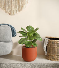 Load image into Gallery viewer, Earth Red