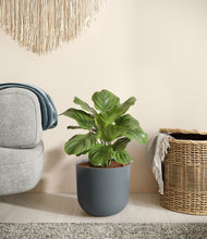 Load image into Gallery viewer, Iron Gray