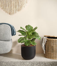 Load image into Gallery viewer, Stone Black