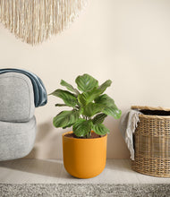 Load image into Gallery viewer, Sunset Orange