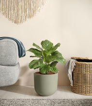 Load image into Gallery viewer, Sage Green