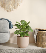 Load image into Gallery viewer, Sandy Pink