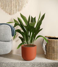 Load image into Gallery viewer, Earth Red