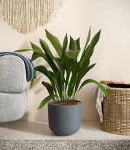 Load image into Gallery viewer, Iron Gray