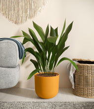 Load image into Gallery viewer, Sunset Orange