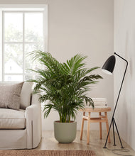 Load image into Gallery viewer, Sage Green