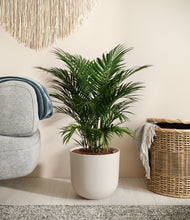 Load image into Gallery viewer, Natural Bamboo