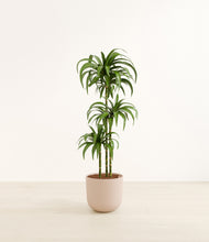 Load image into Gallery viewer, Sandy Pink*****Profile