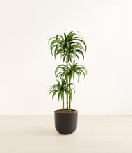 Load image into Gallery viewer, Stone Black*****Profile