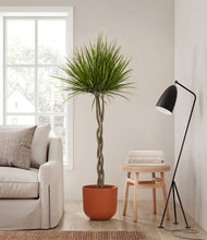 Load image into Gallery viewer, Earth Red