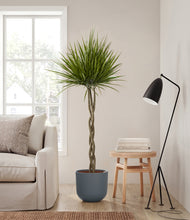 Load image into Gallery viewer, Iron Gray